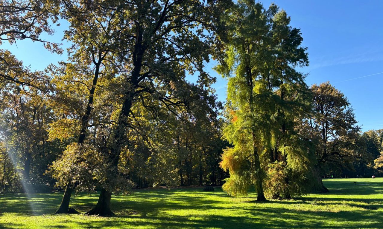 edc09669-be39-456c-8bd5-fe6001e4944a