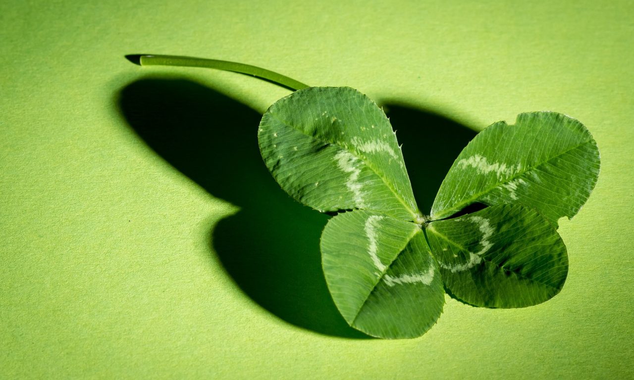 meineresterampe-clover-941597_1920