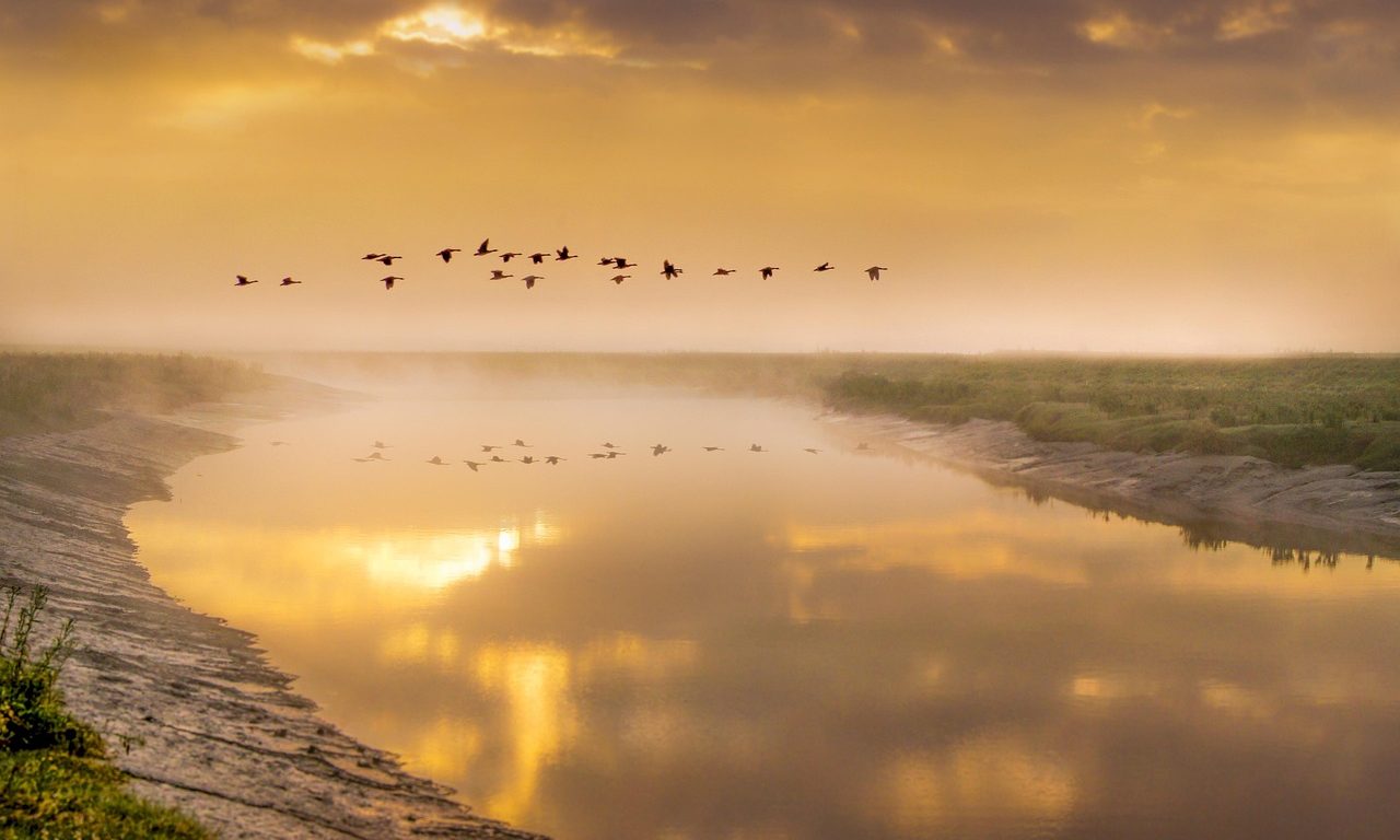 novogodisnja-radionica